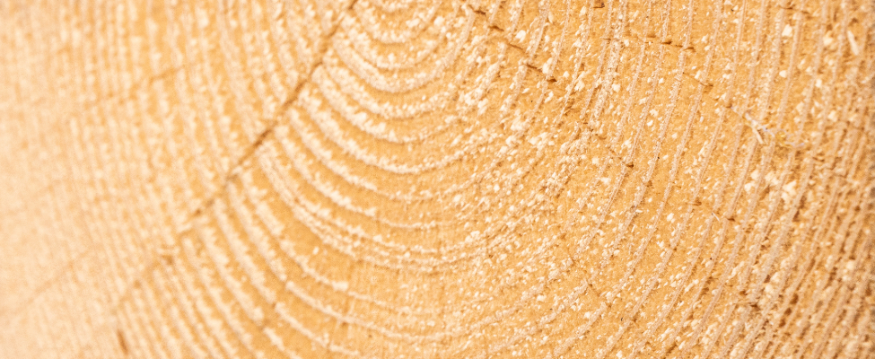 UKTR Сполучене Королівство Регламент щодо деревини