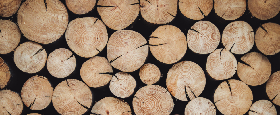 Публічні звіти