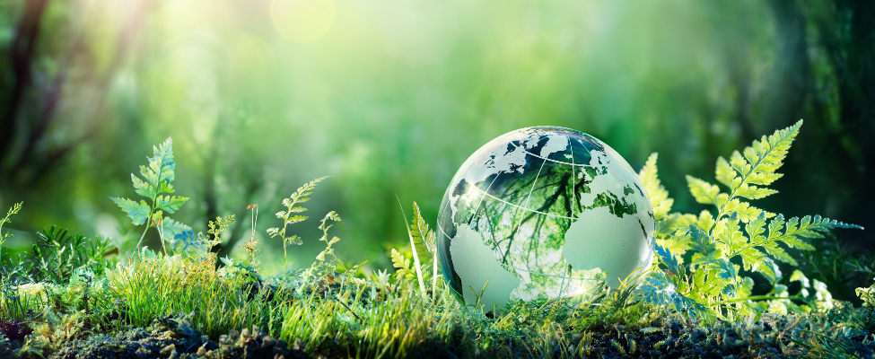 Таксономія ЄС