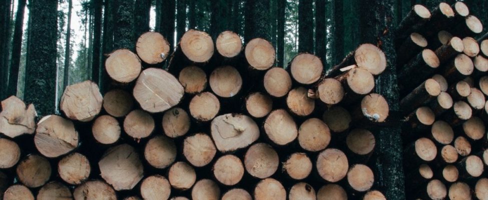 Постанова про торгівлю деревиною в Швейцарії – Holzhandelsverordnung (HHV)