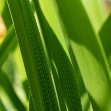 Система управління навколишнім середовищем ISO 14001: крок до кращої екологічної практики