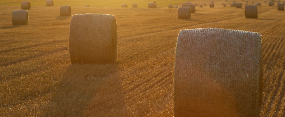 Сертифікація SURE