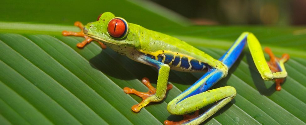 Сталі рішення: як ISO 14001 сприяє боротьбі із забрудненням пластиком