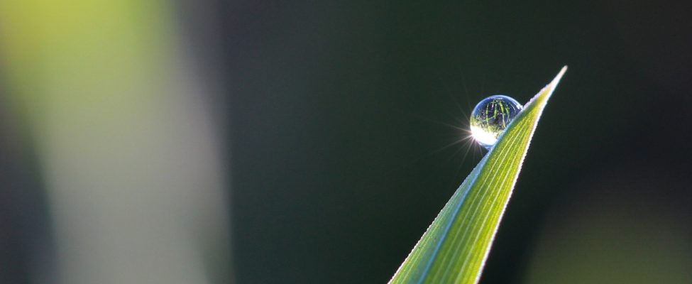 Важливість Міжнародних стандартів