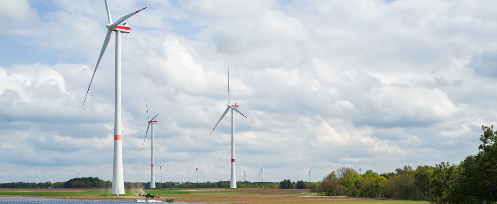 Оновлені та затверджені стандарти схеми SURE-EU